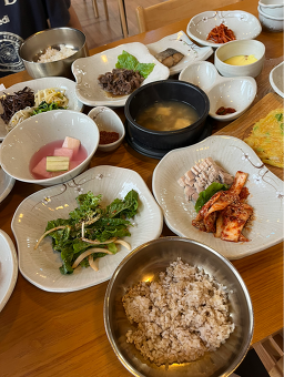 벽오동화순점 4