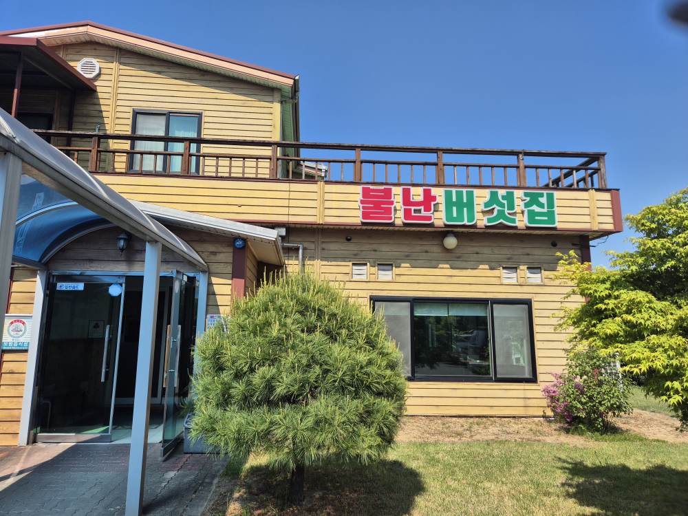 Bullanbeoseotjip (불난버섯집) 1