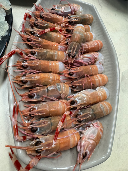 올레정안회센터 사진 4