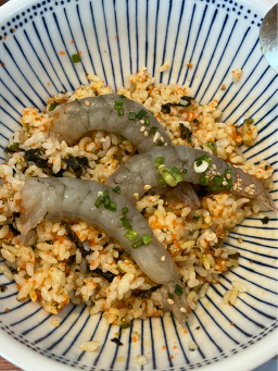 Pyeonbaekrim (편백림) 1