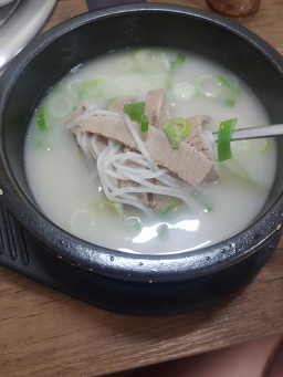 신촌 5