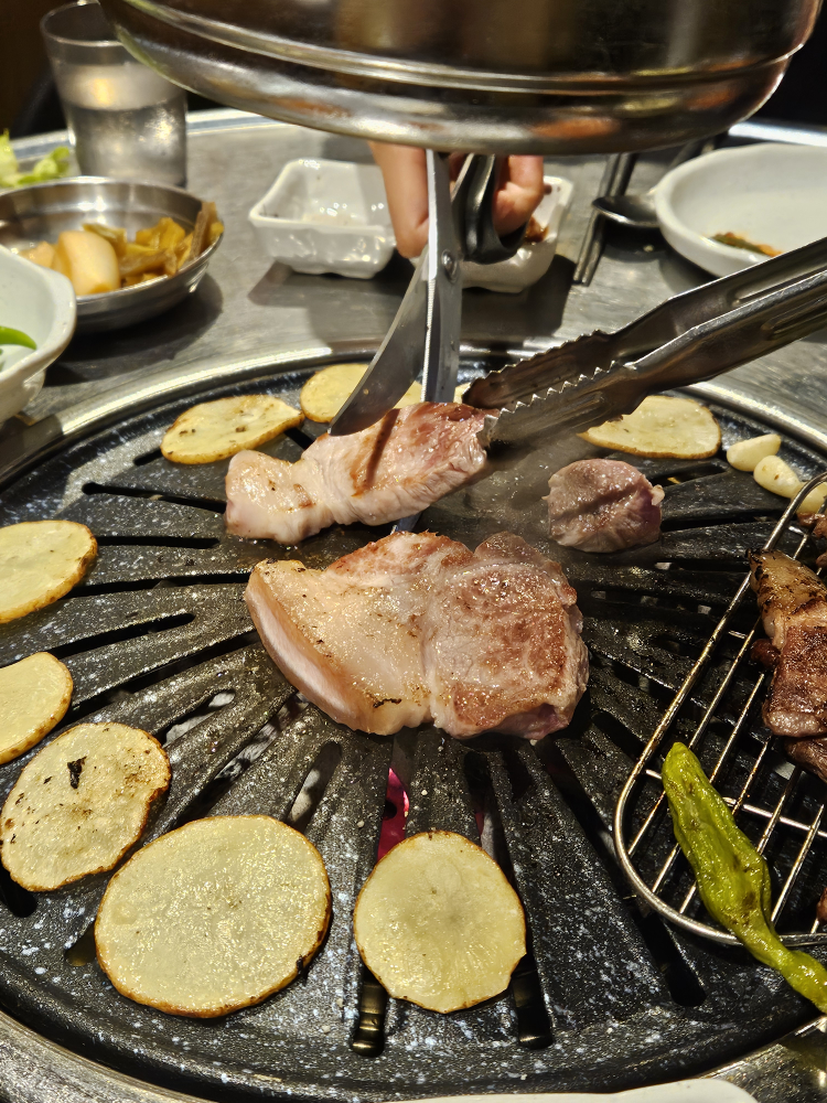 문디 사진 5