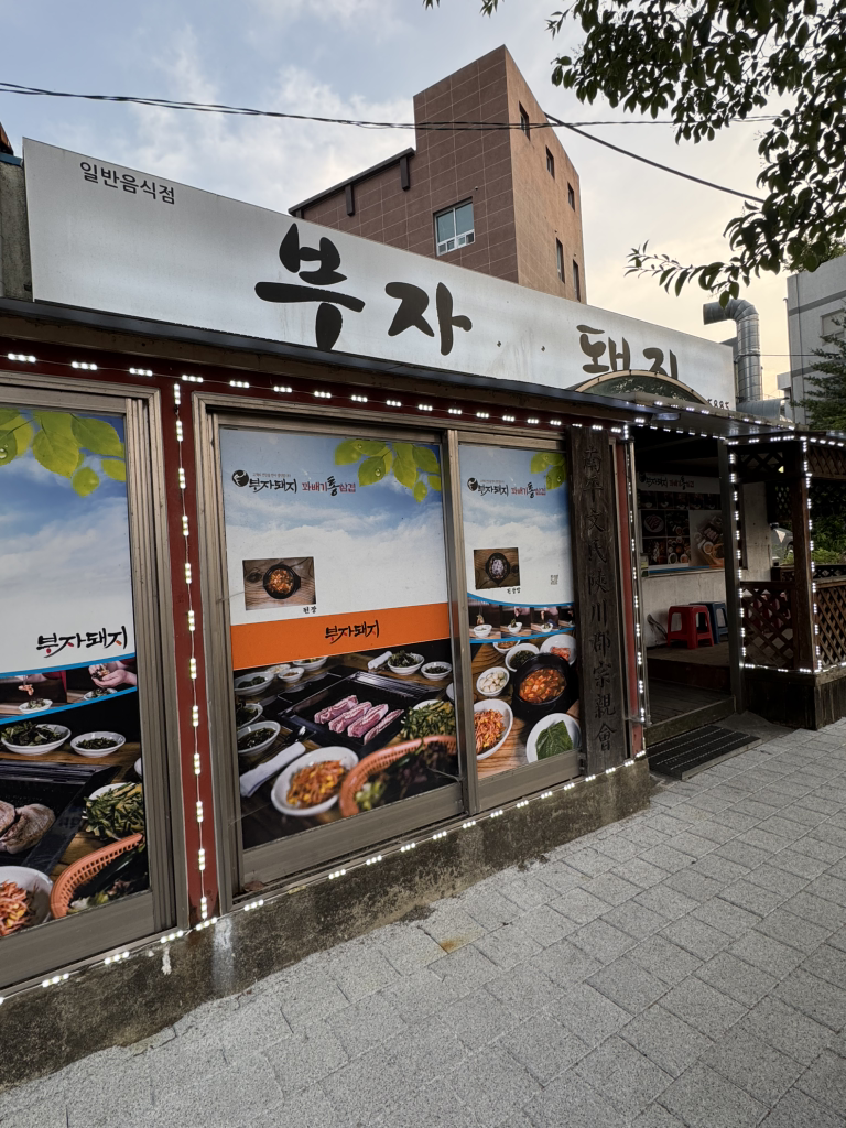 부자돼지 1