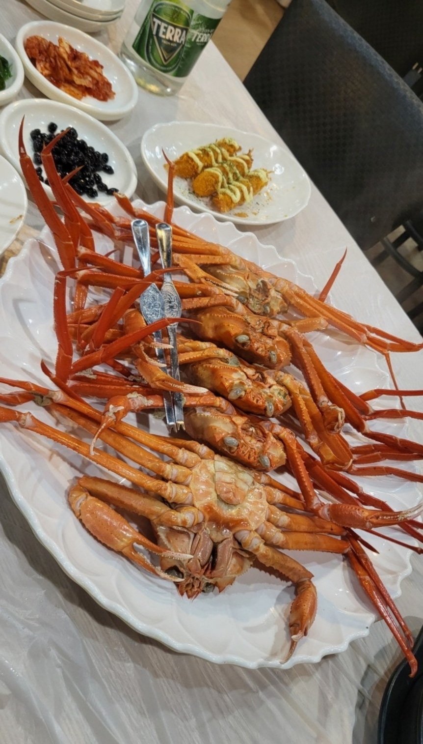 속초붉은대게 사진 6