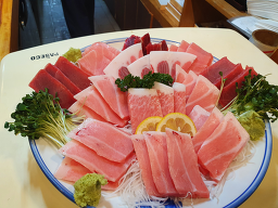 진어참치 사진 8
