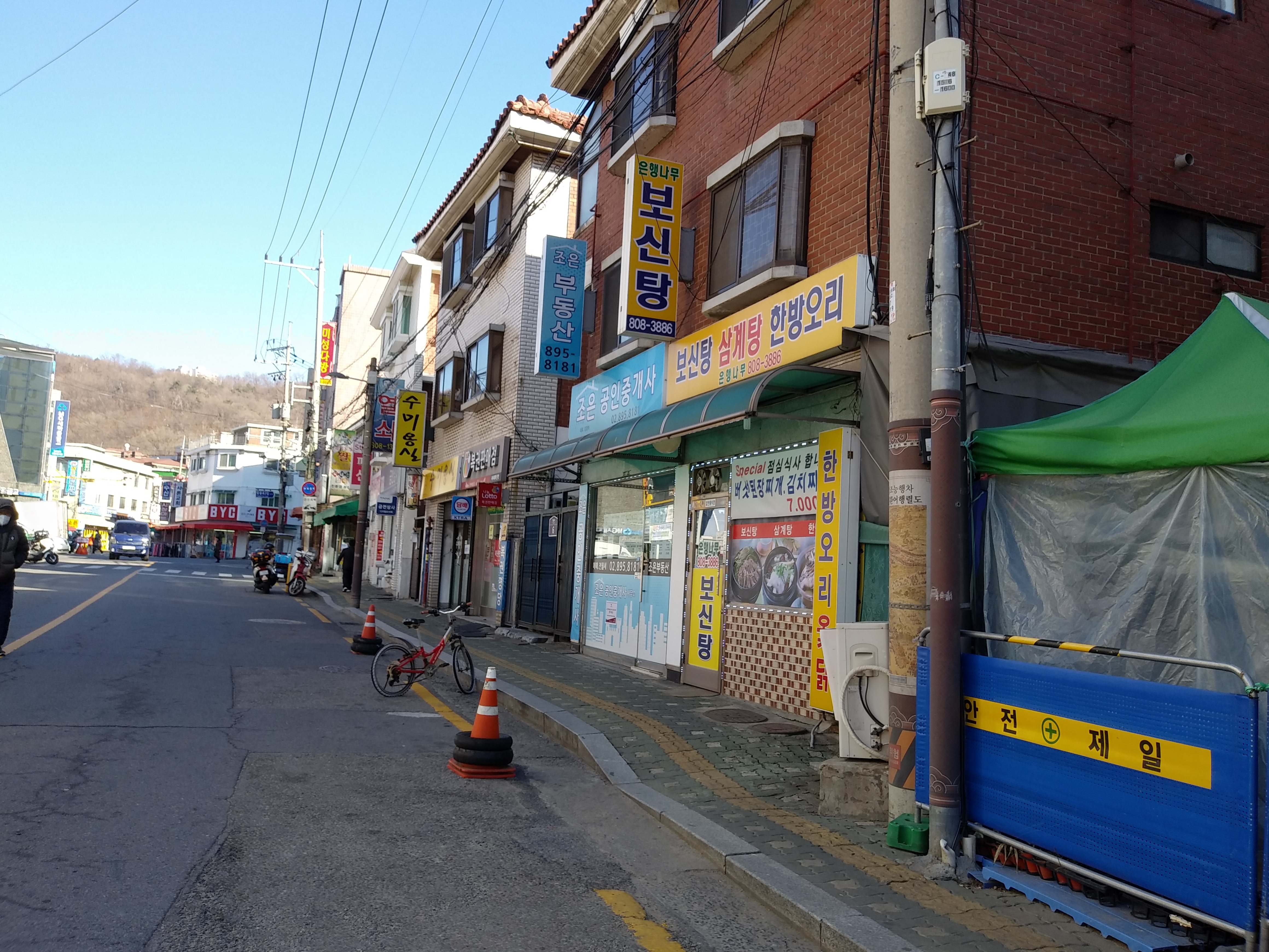 Eunhaengnamu (은행나무) 1