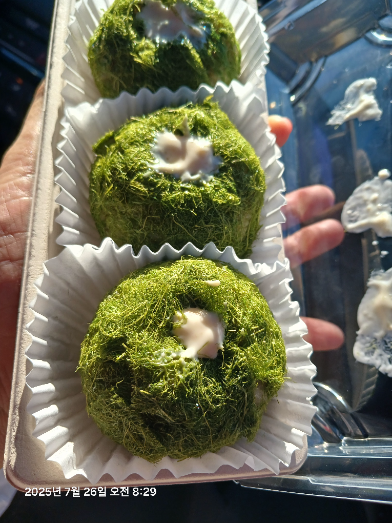 Noranggimbap 6