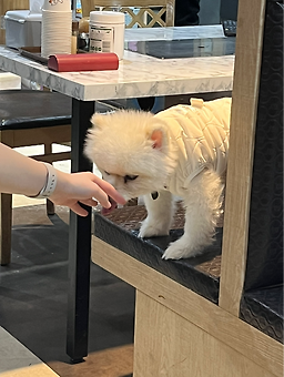 우림양꼬치 대표 사진