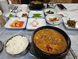 제주탐나도다 사진 3