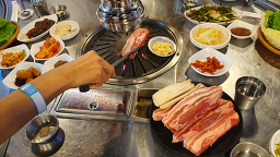 하누돈 실비 3
