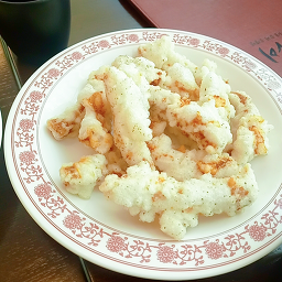 신차이 사진 8