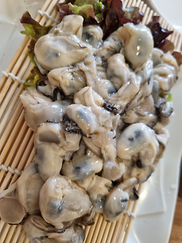 Wondeopulbossam 4