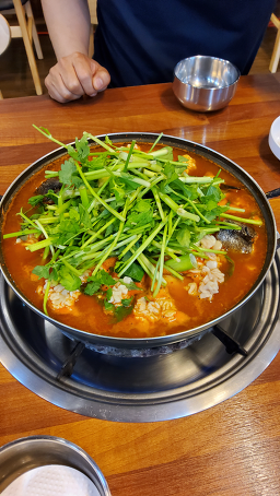 명품생태집 사진 5