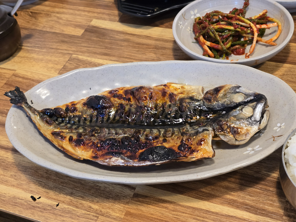 미가담 1