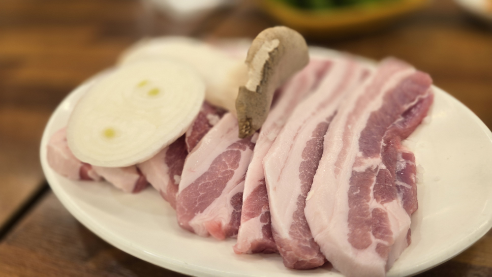 백송 2