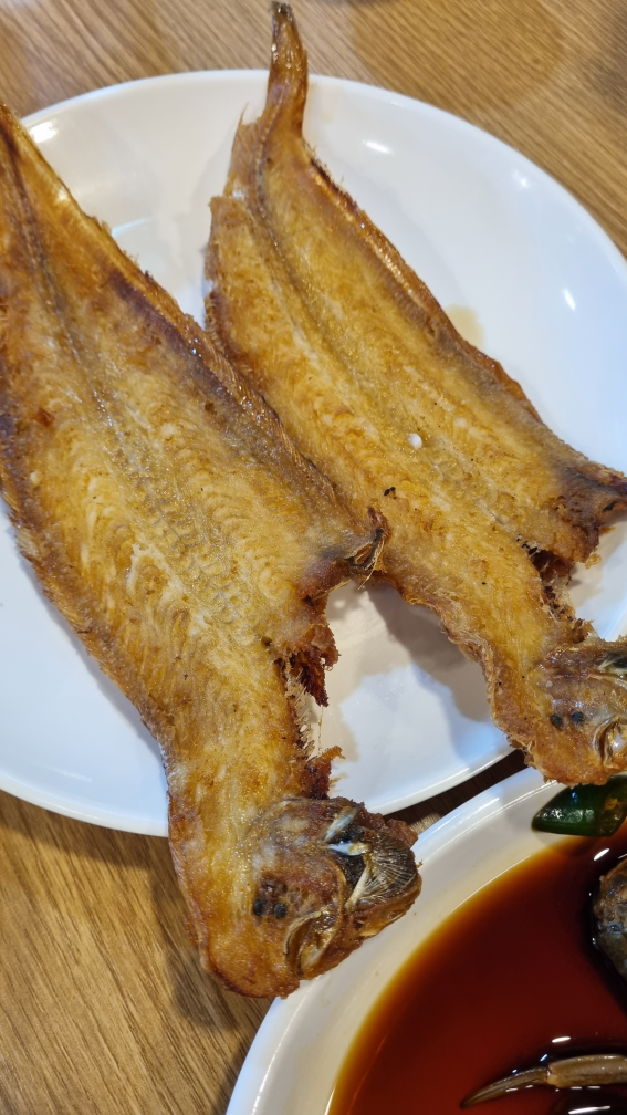 문성5호 6
