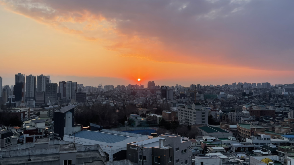 눕피자 사진 8