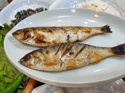 어촌 파도수산 사진 7