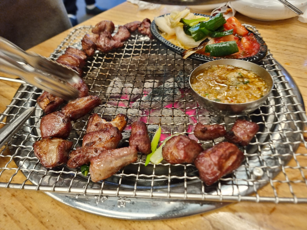 을지갈매기 사진 5