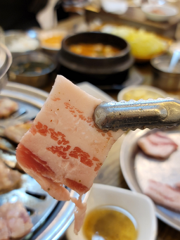 황포돛배 6
