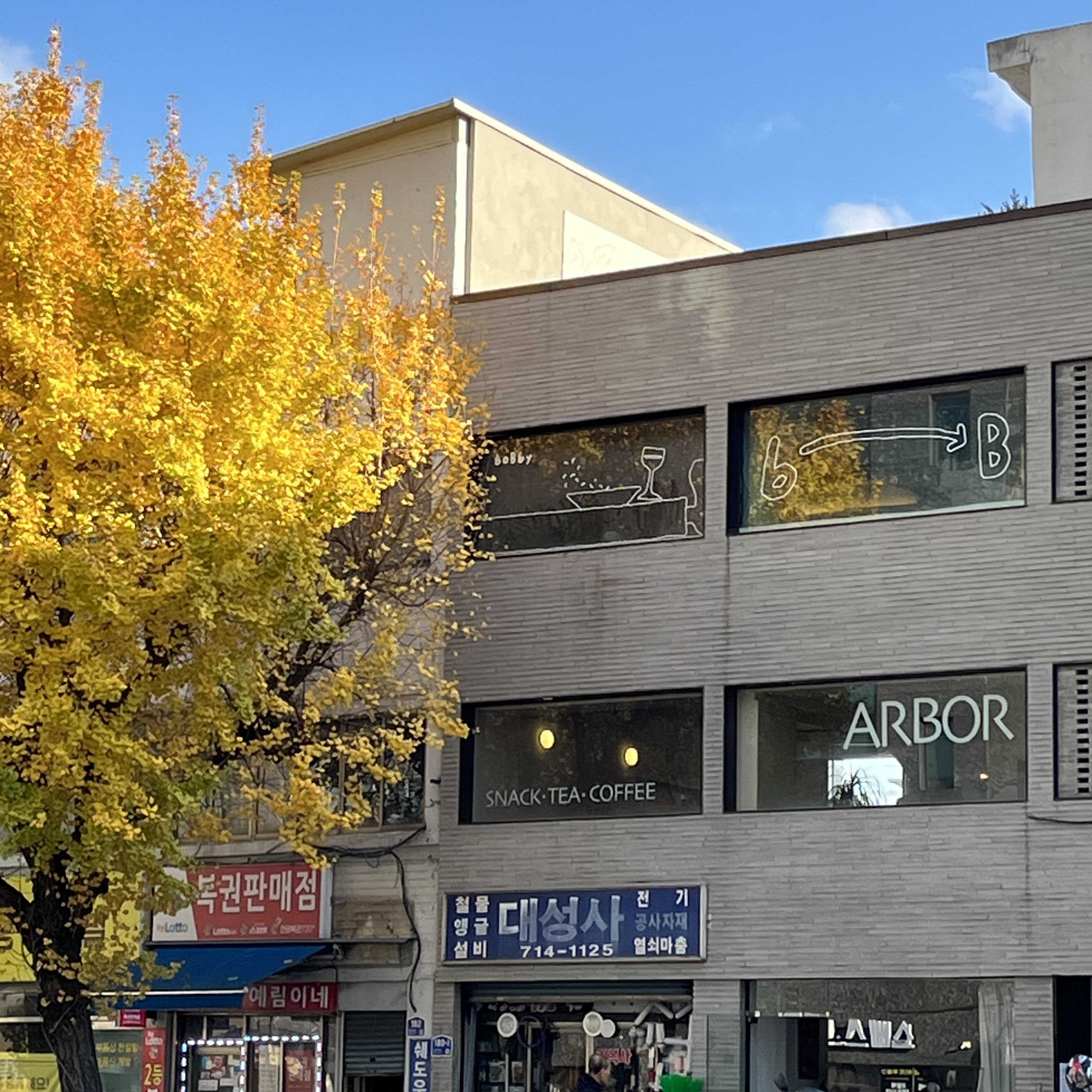 바비 사진 4