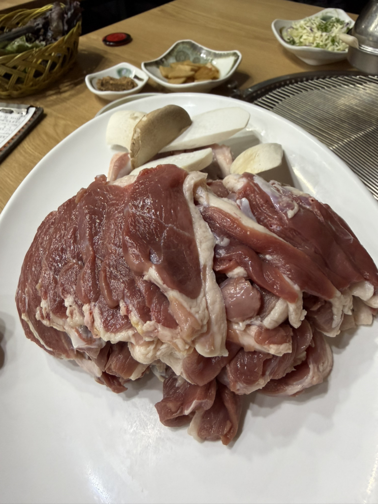 Nakdonggangorial (낙동강오리알) 3