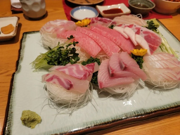 유다까 사진 4