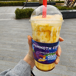 매머드익스프레스 동탄펜테리움IT타워점