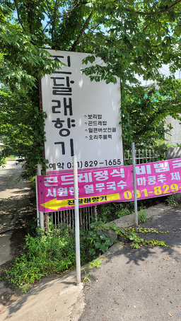 진달래향기 2