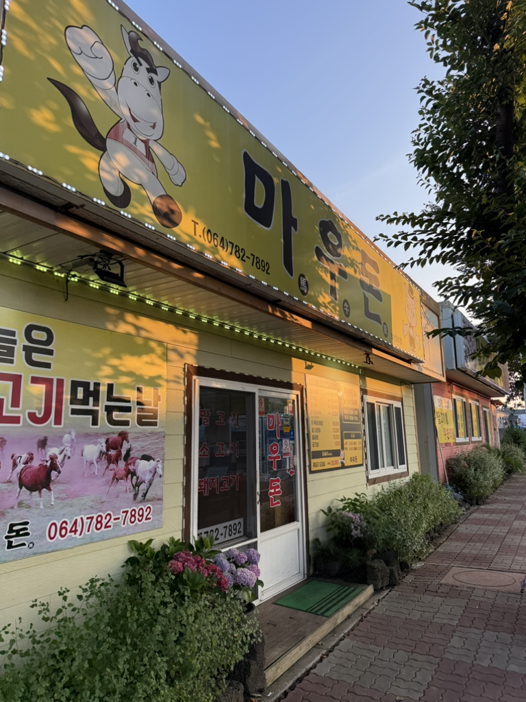 마우돈 대표 사진