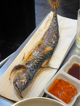 오로라회센타 사진 7