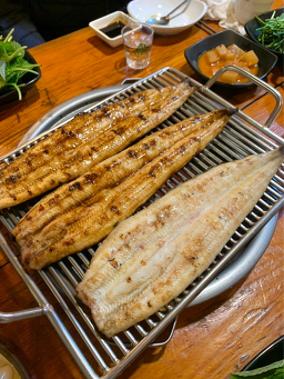 황토영광장어 1