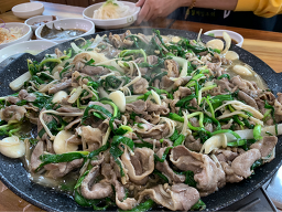 Wachonoriyakchobulgogi (와촌오리약초불고기) 1