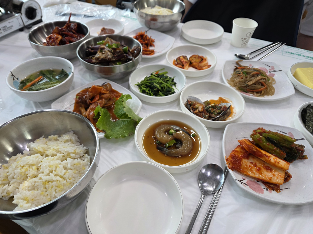 두꺼비 6