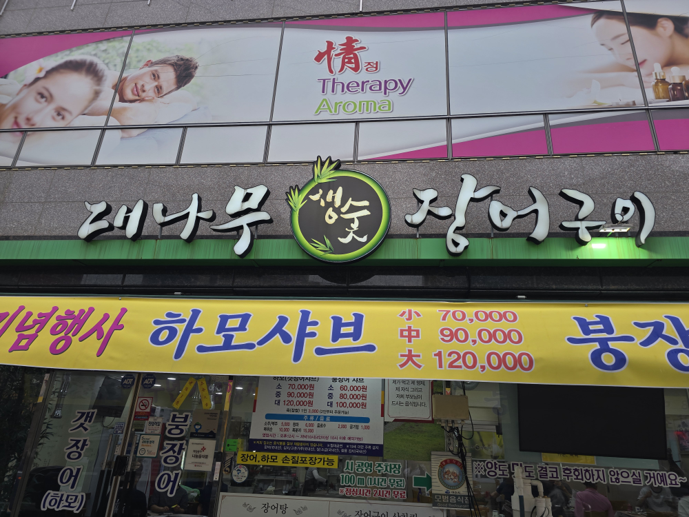 Daenamusaengsutjangeogui (대나무생숯장어구이) 1