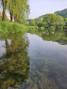Yunganenajugomtang 5