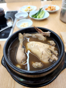 꽃춘삼 5