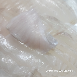 바다세상 5