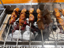 태양부양꼬치 5