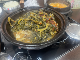 백마강 사진 3