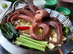 박고볼래 사진 5