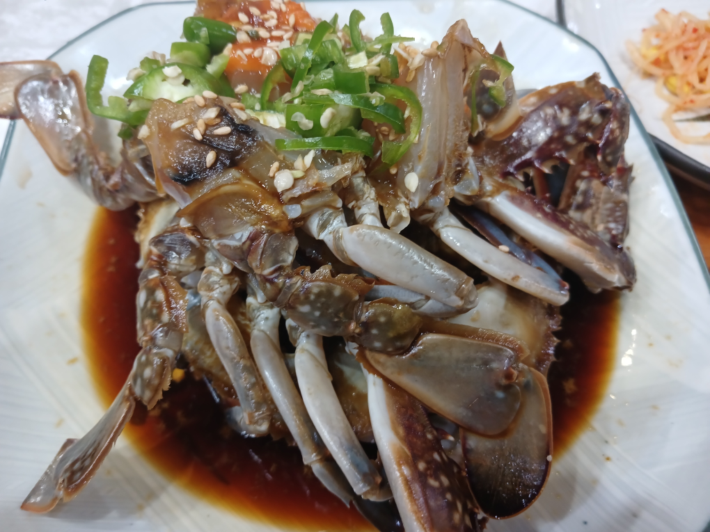 둥근지붕 2