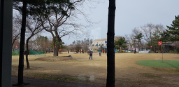 스텔라
