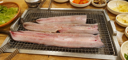 고창풍천장어 1