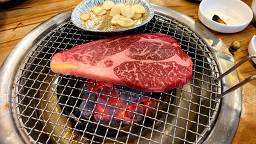 하누랑돈이랑 6