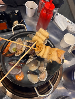 우아한조개 6