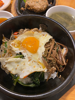 벽오동 사진 2