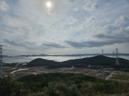 대부도안개꽃