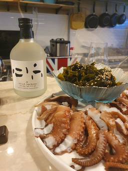 소행성 사진 2