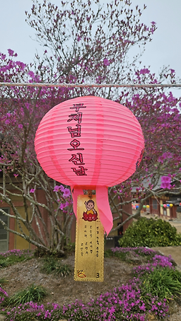 장원식당 6